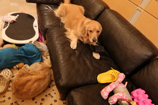 ファイル 7569-3.jpg