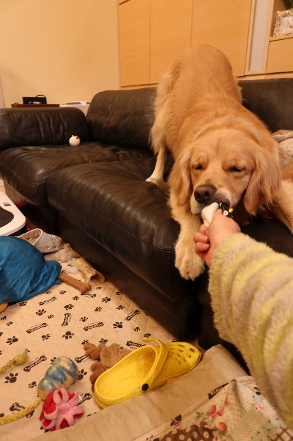 ファイル 7569-4.jpg