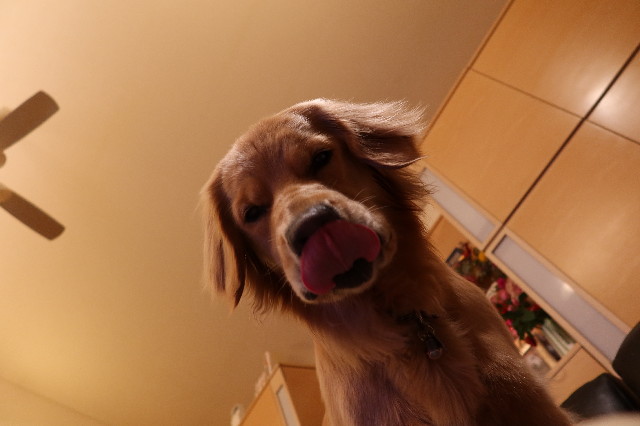 ファイル 7569-5.jpg