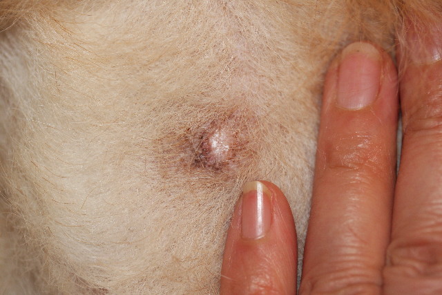 ファイル 757-4.jpg