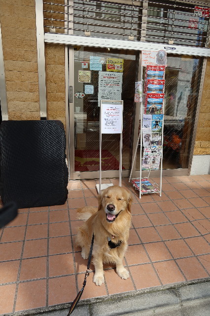 ファイル 7570-2.jpg