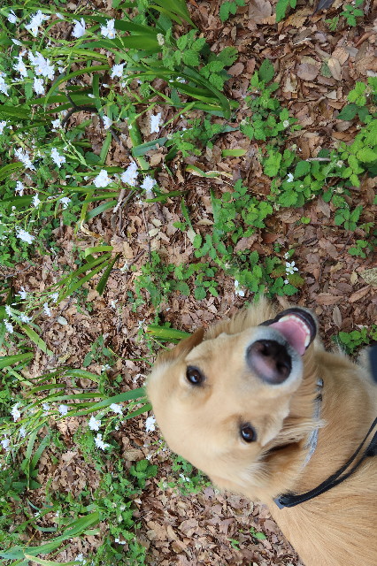 ファイル 7571-5.jpg