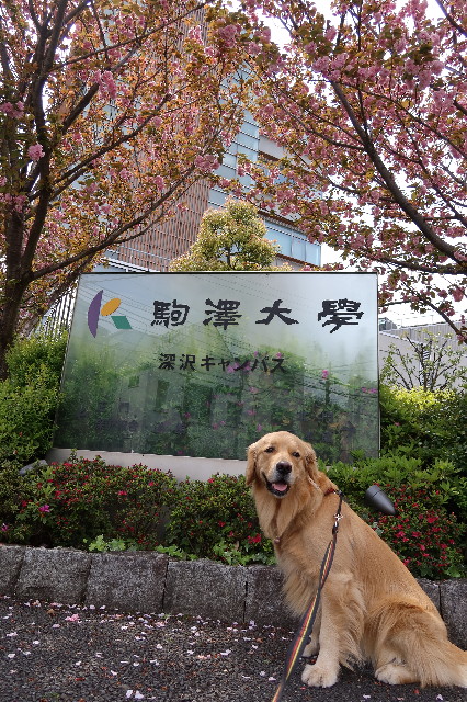 ファイル 7572-1.jpg