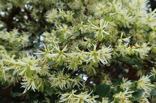 ファイル 7573-4.jpg