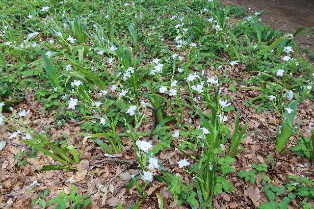 ファイル 7573-5.jpg