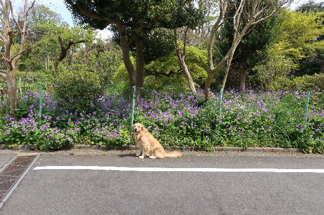 ファイル 7574-1.jpg