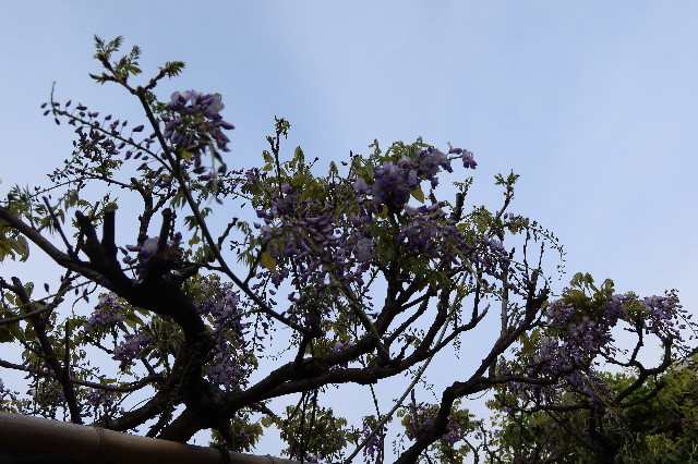 ファイル 7577-4.jpg