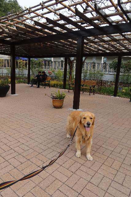 ファイル 7577-5.jpg