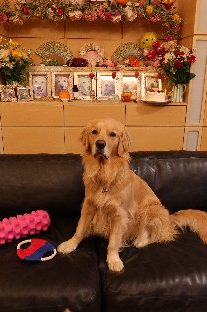 ファイル 7578-2.jpg