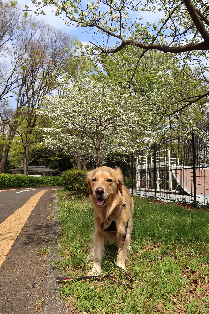 ファイル 7578-4.jpg