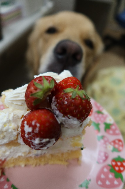 ファイル 7579-2.jpg