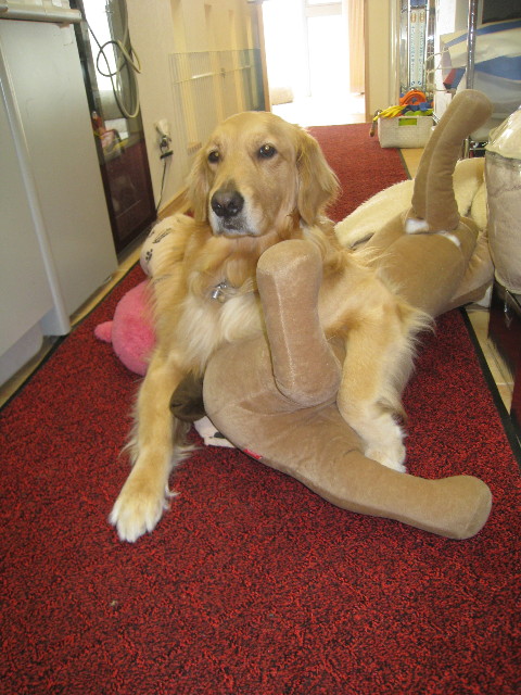 ファイル 758-1.jpg