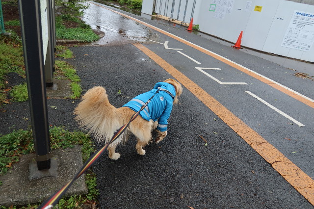 ファイル 7580-4.jpg