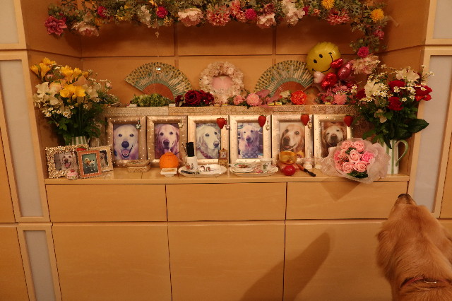 ファイル 7580-5.jpg