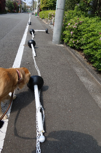 ファイル 7581-3.jpg