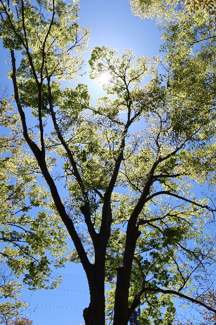 ファイル 7582-5.jpg