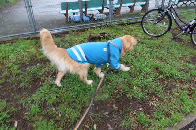 ファイル 7583-2.jpg