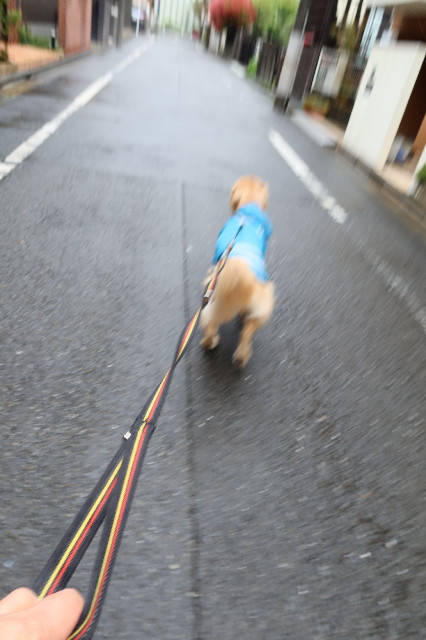 ファイル 7583-5.jpg