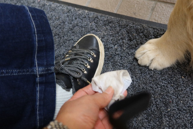 ファイル 7584-4.jpg