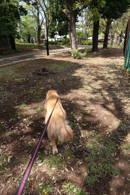 ファイル 7585-2.jpg