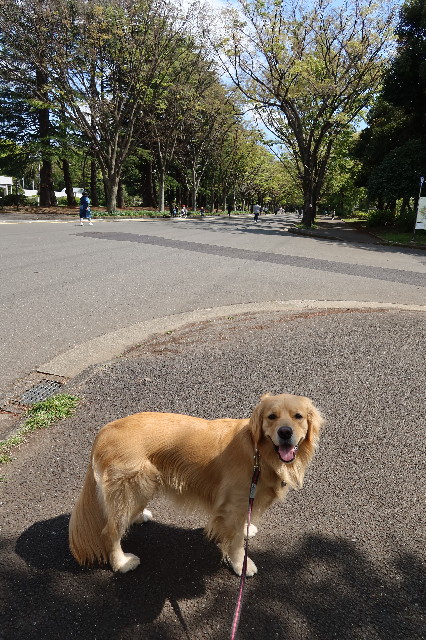 ファイル 7585-4.jpg