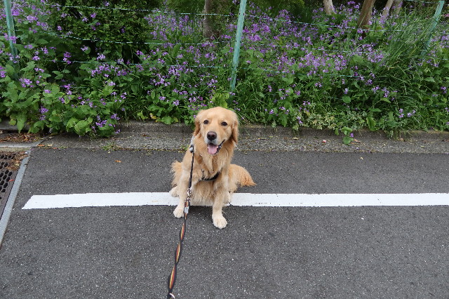 ファイル 7586-4.jpg