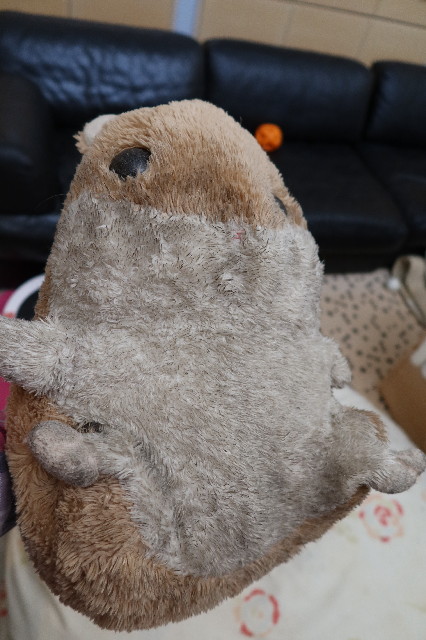 ファイル 7587-1.jpg