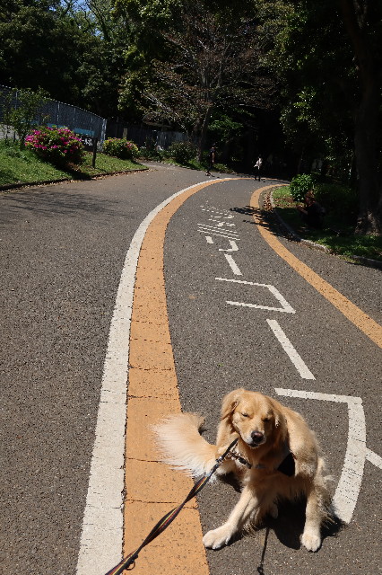 ファイル 7590-5.jpg