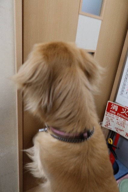 ファイル 7592-4.jpg