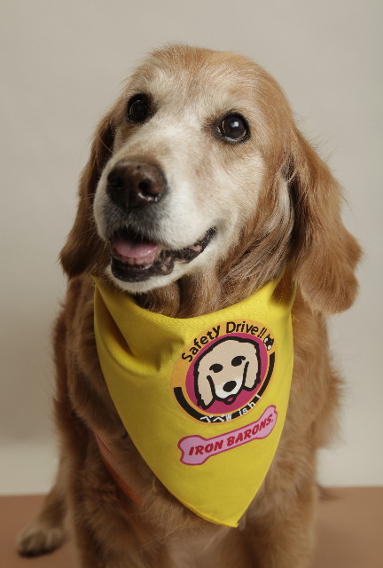 ファイル 7593-1.jpg