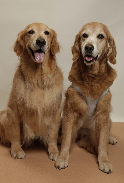 ファイル 7593-3.jpg