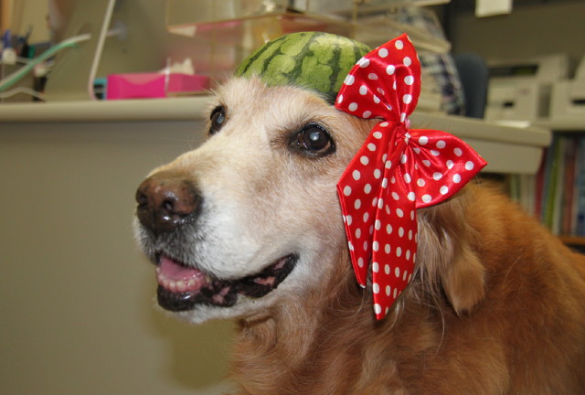 ファイル 7593-4.jpg