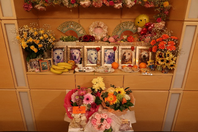 ファイル 7594-1.jpg