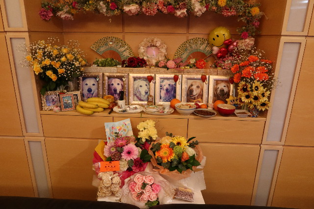 ファイル 7594-5.jpg