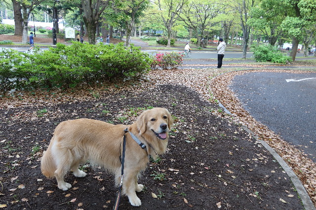 ファイル 7595-3.jpg