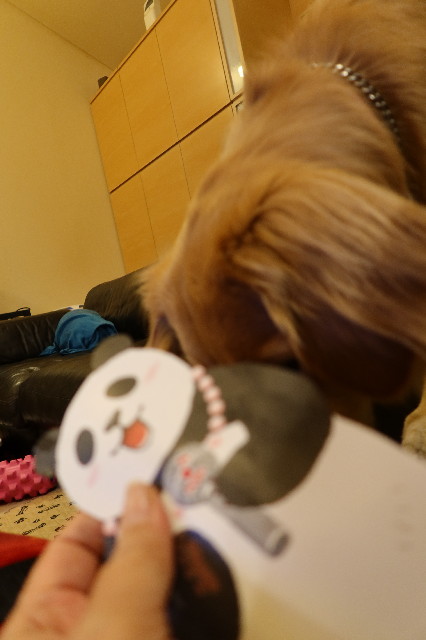 ファイル 7595-5.jpg