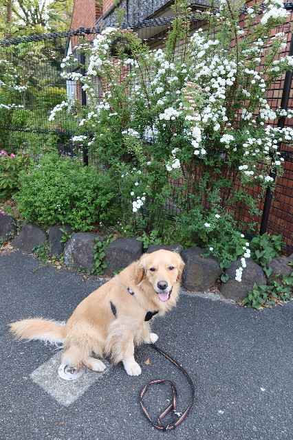 ファイル 7596-4.jpg