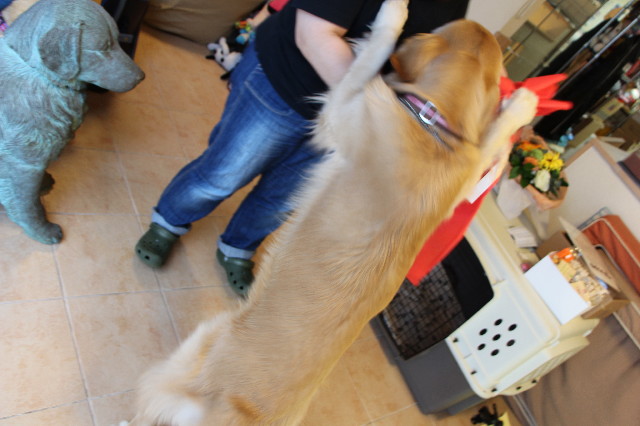 ファイル 7597-5.jpg