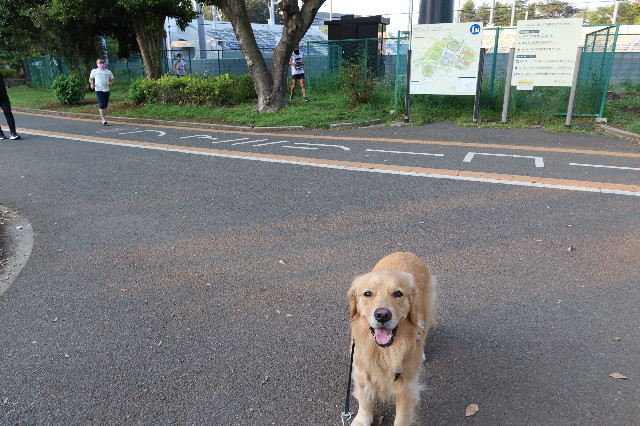 ファイル 7598-2.jpg