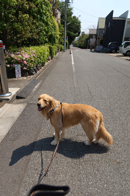 ファイル 7598-3.jpg