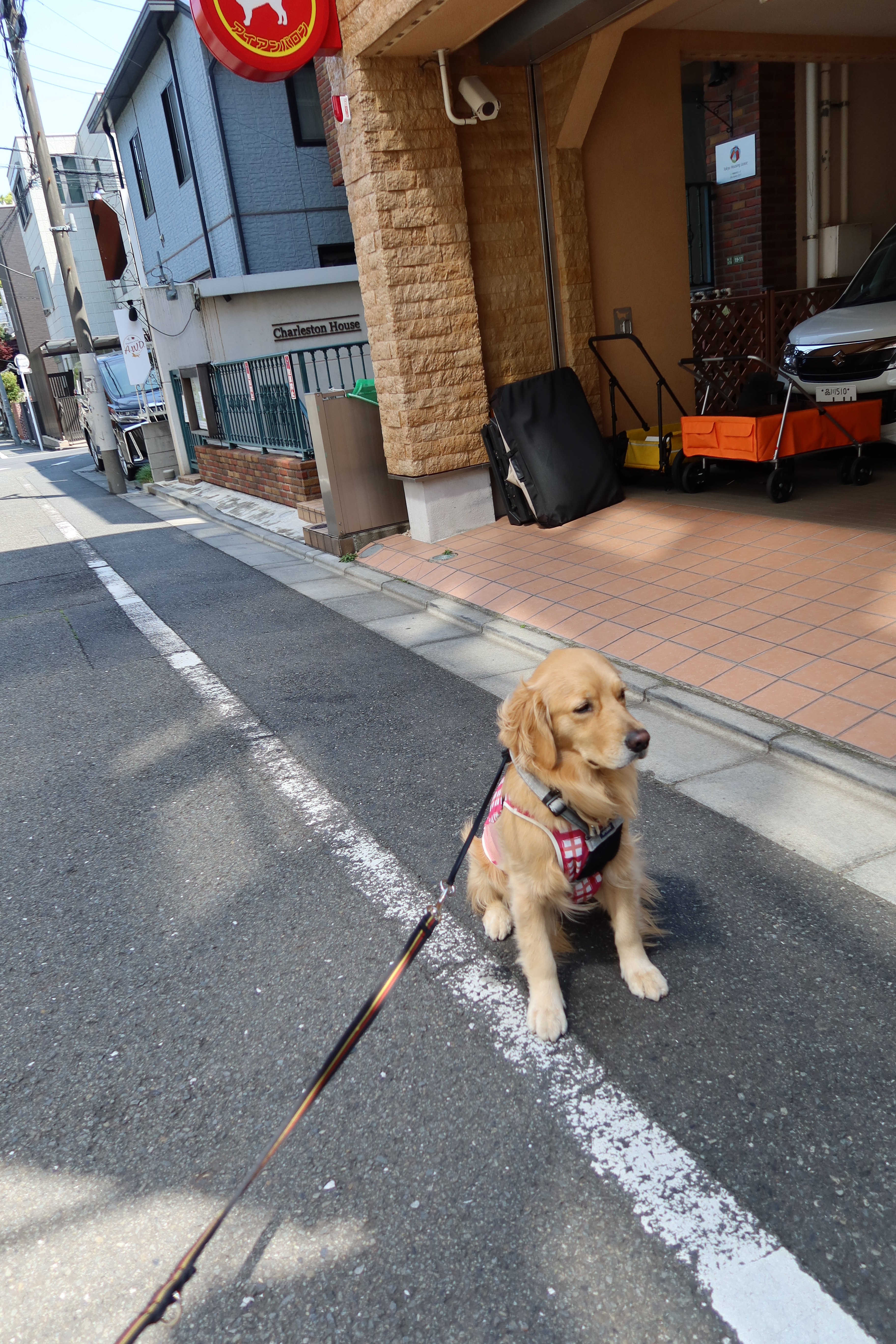 ファイル 7598-4.jpg