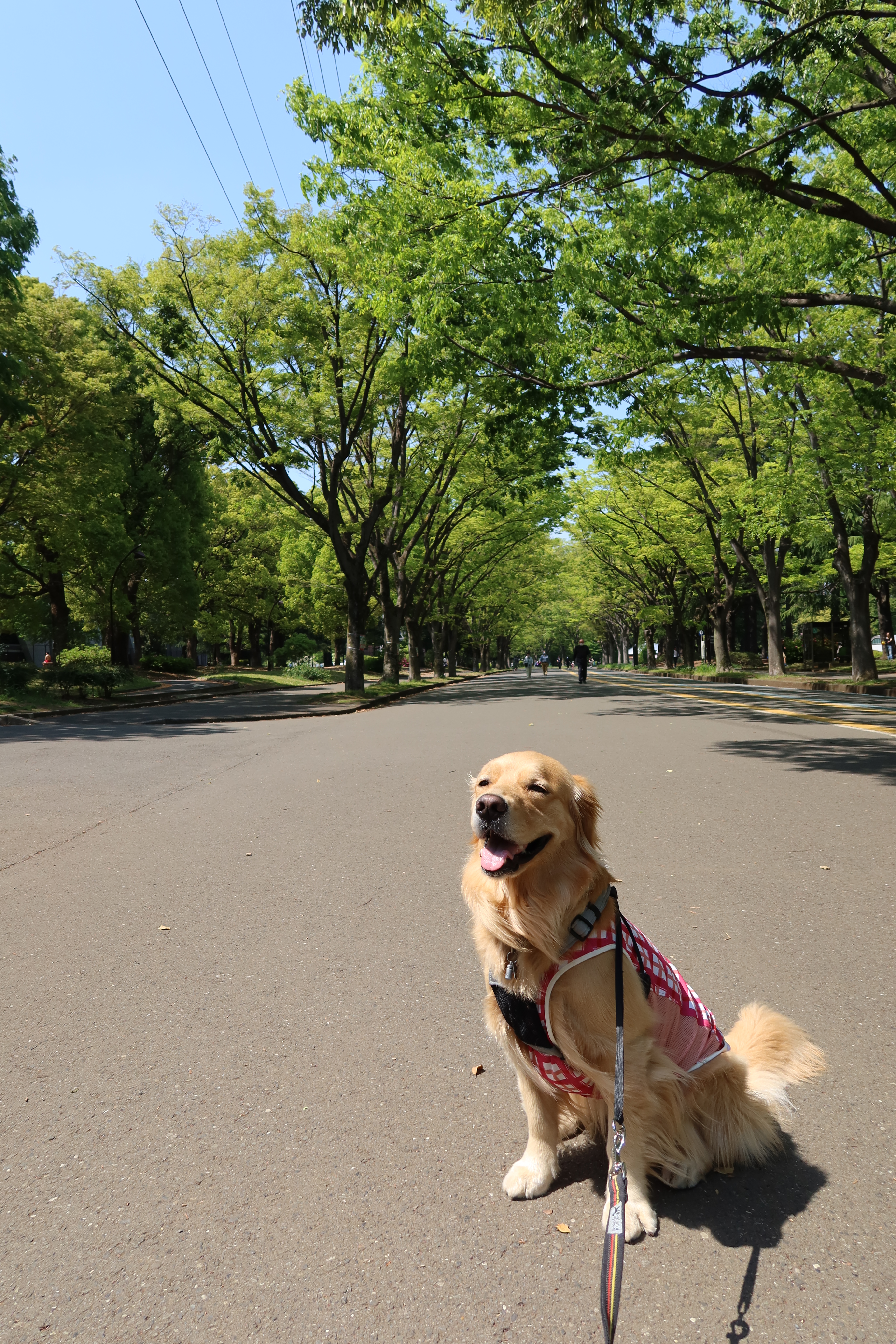 ファイル 7598-5.jpg