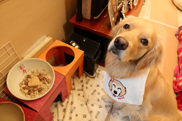 ファイル 7599-1.jpg