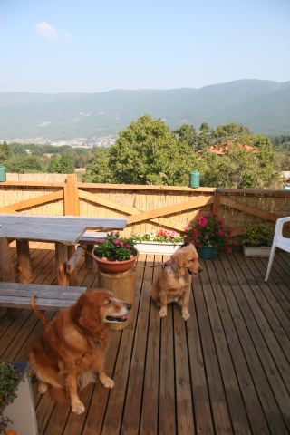 ファイル 76-1.jpg