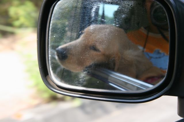 ファイル 76-3.jpg