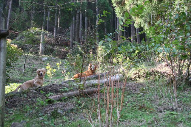 ファイル 76-4.jpg