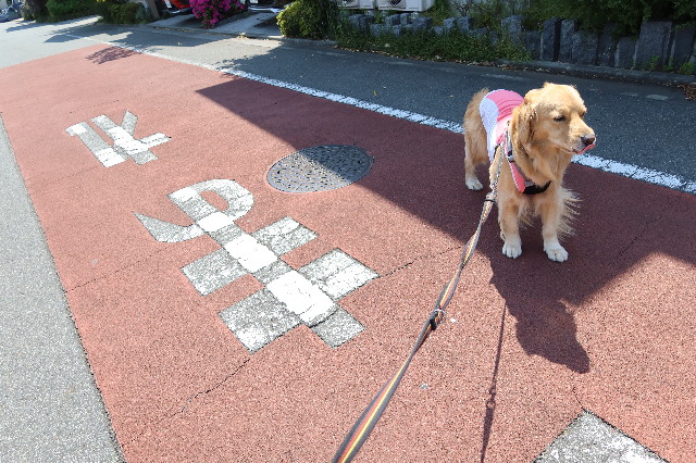 ファイル 7600-2.jpg