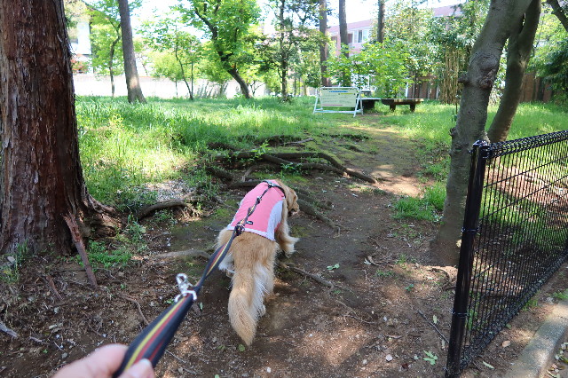 ファイル 7600-4.jpg