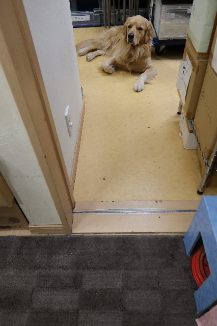 ファイル 7600-5.jpg