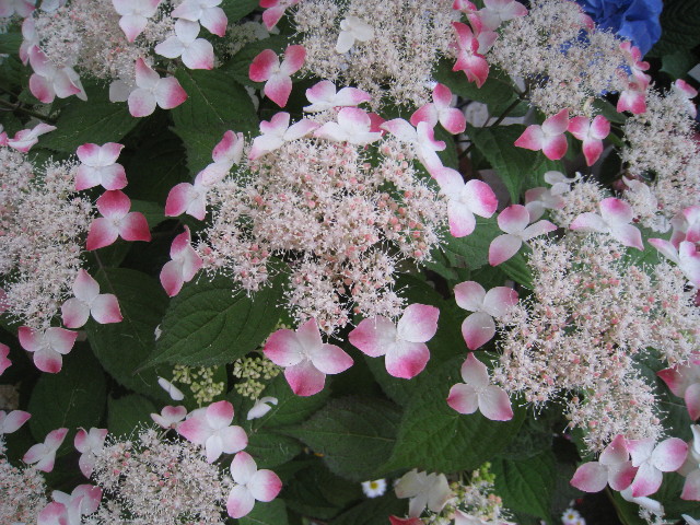 ファイル 761-1.jpg